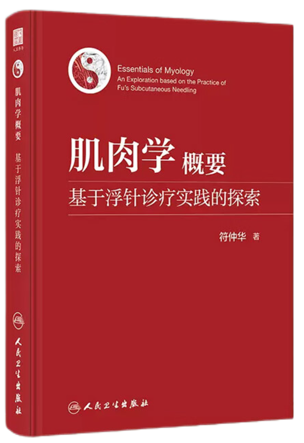 肌肉学概要.png