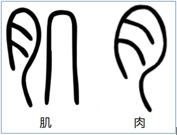 微信图片_20250210170512.png